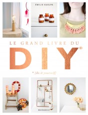 Le grand livre des DIY* *(Do it yourself)